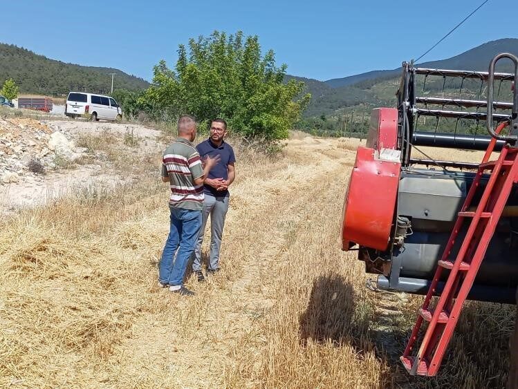Gölpazarı İlçe Tarım ve Orman Müdürlüğü, hububat hasadı sırasında çiftçilerin