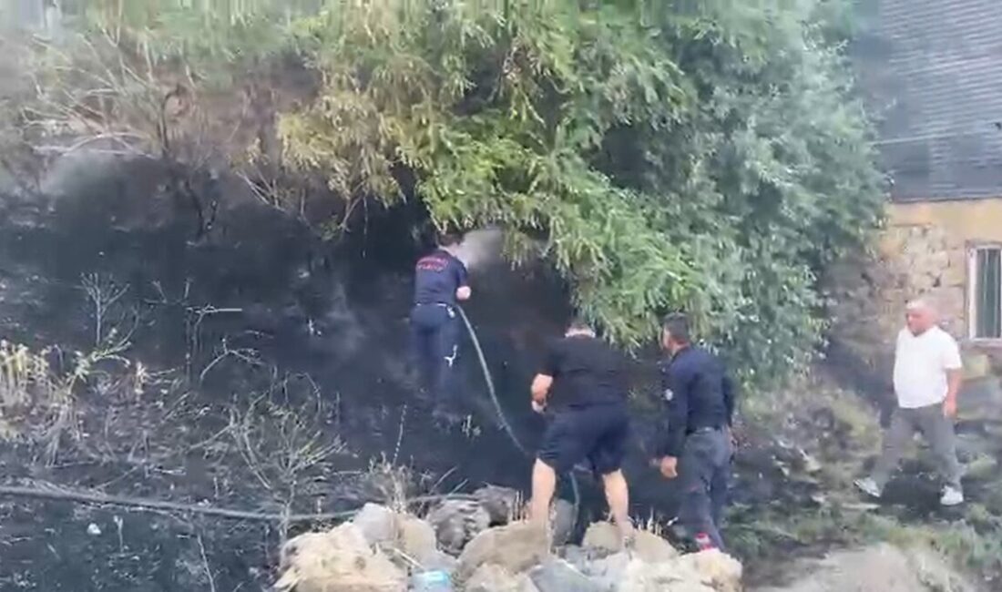 Hakkari'de, hafta sonu 14 ayrı bölgede yangın çıktı. Hakkari Belediyesi