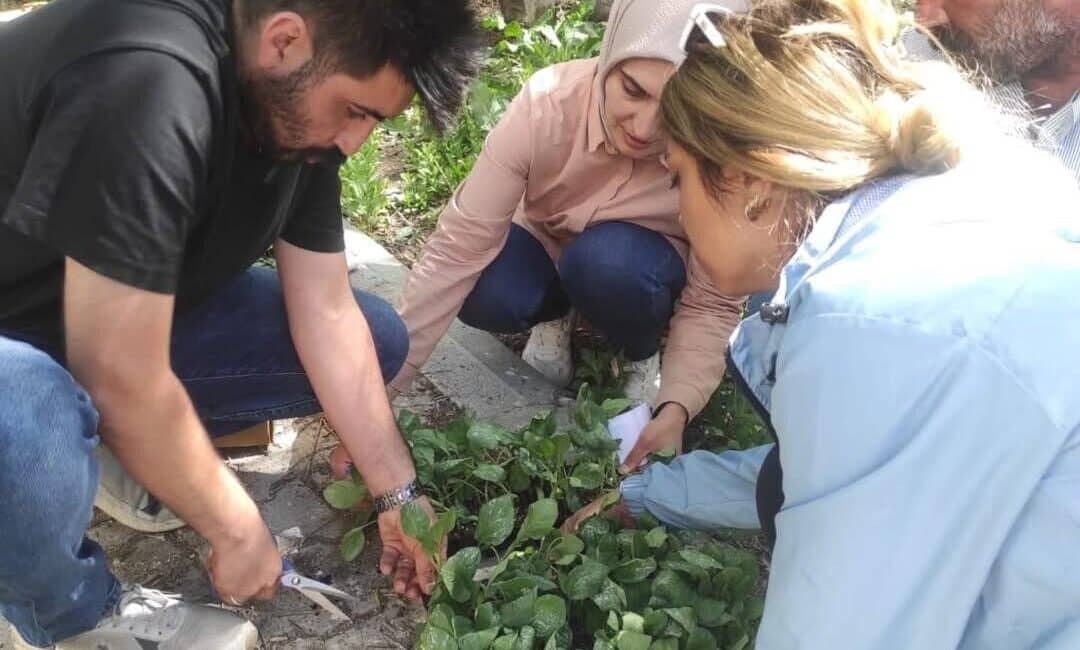 Ağrı’nın Hamur İlçesinde Tarım Müdürlerinden Üreticilere Fideleri Dağıtım Etkinliği Düzenlendi Ağrı'nın Hamur ilçesinde Tarım ve Orman Bakanlığı tarafından düzenlenen etkinlikte,