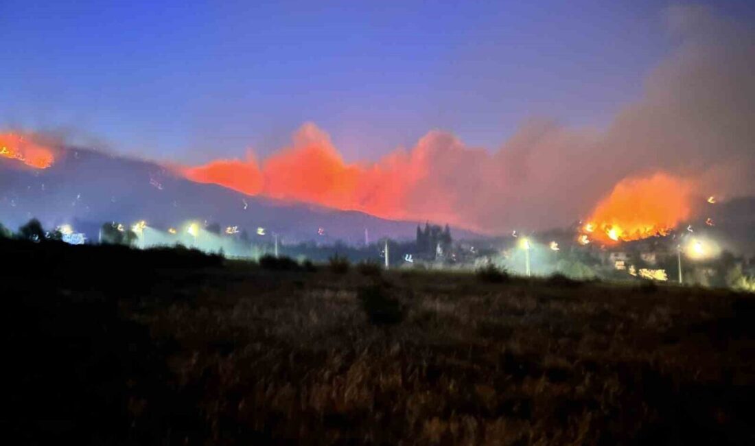 Hatay'ın Antakya ilçesindeki Karaali Mahallesi'nde başlayan orman yangını, rüzgarın etkisiyle