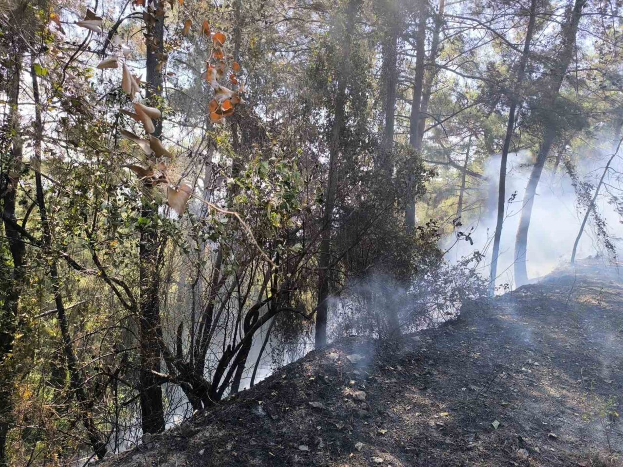 Hatay'ın Dörtyol ilçesindeki Kırmızıburun ile Çökek Yaylası arasında çıkan orman