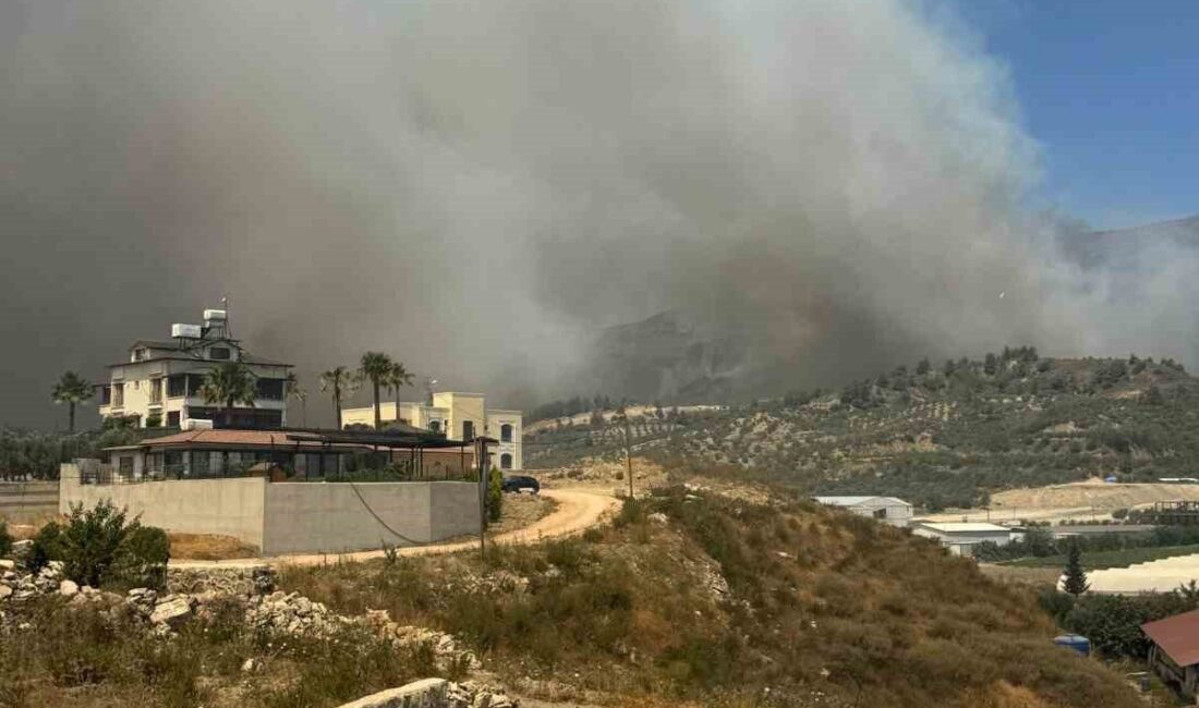 Hatay'ın Antakya ilçesindeki Karaali Mahallesi'nde ormanlık alanda çıkan yangın, yerleşim