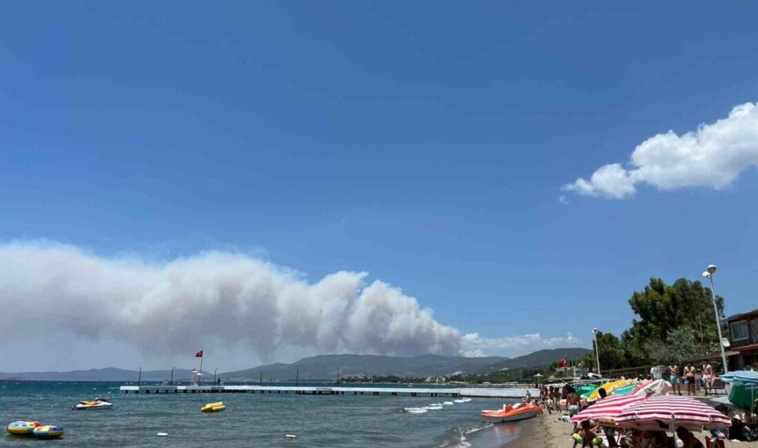İzmir'in Menderes ilçesinde öğle saatlerinde başlayan orman yangını, rüzgarın etkisiyle