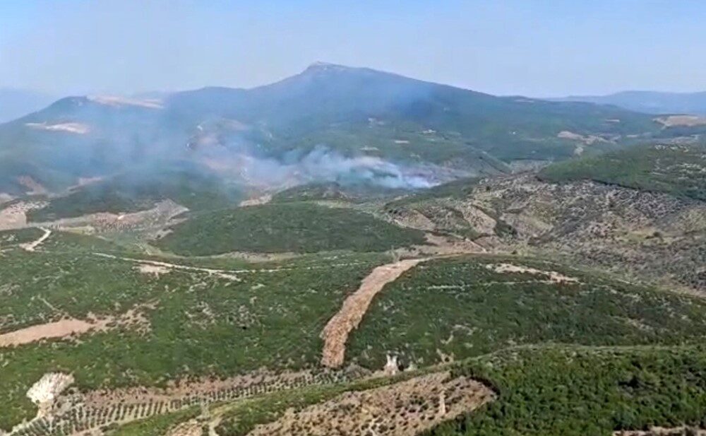 İzmir'in Torbalı ilçesinde, Ahmetli Mahallesi'ndeki ormanlık alanda çıkan yangına, İzmir