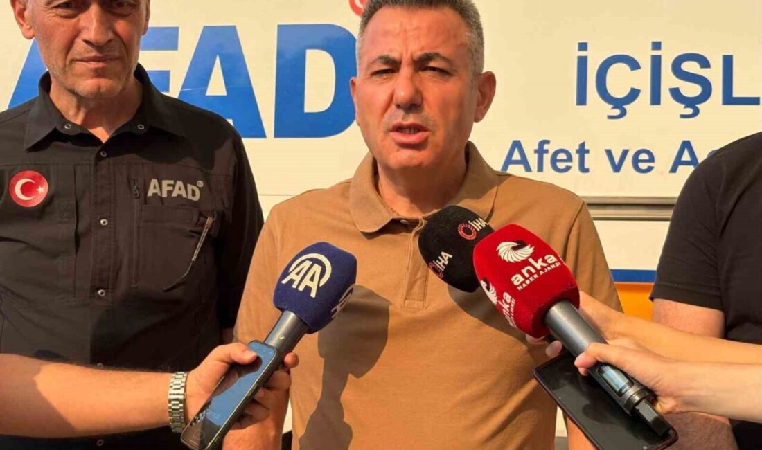İzmir'in Menderes ilçesindeki orman yangını kontrol altına alınamadı. Vali Süleyman