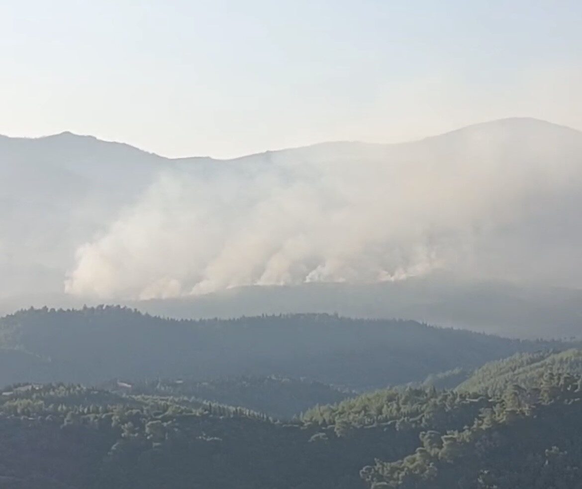 İzmir'in Seferihisar ilçesindeki orman yangınına, gün doğumuyla birlikte havadan müdahale