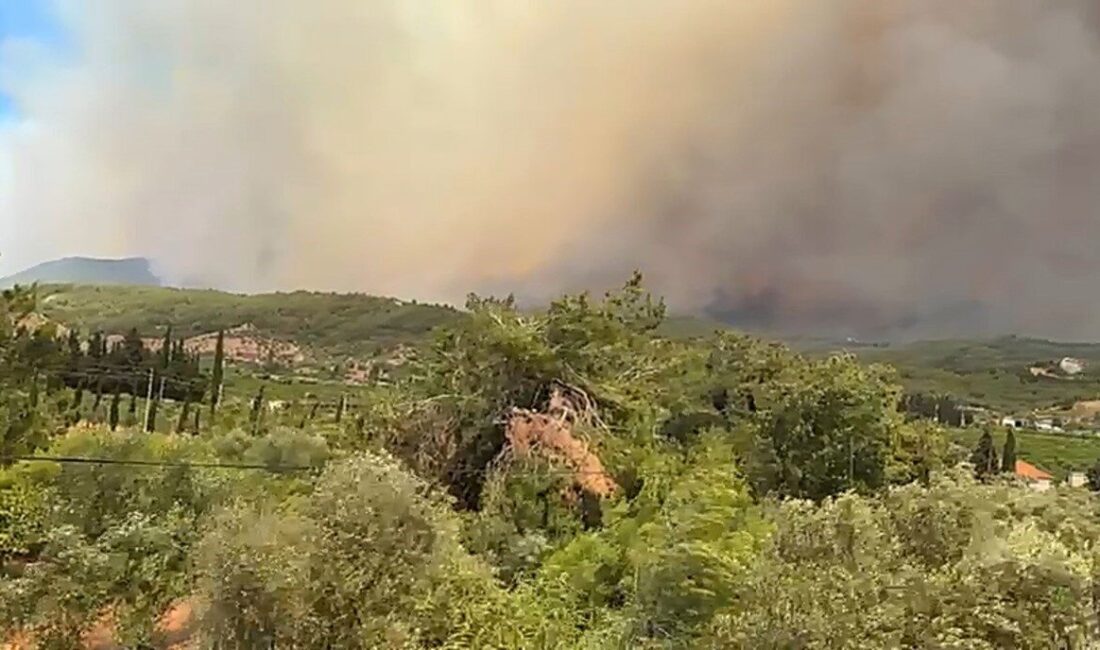 İzmir’in Menderes ilçesindeki orman yangınına karşı Söndürme ekipleri, 18 uçak,