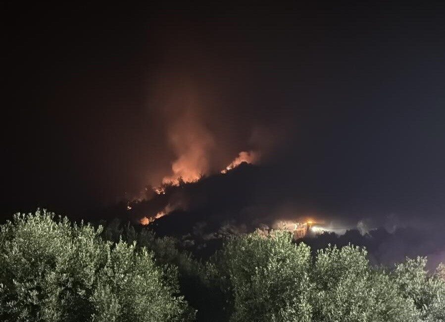İzmir'in Menderes ilçesindeki orman yangını, rüzgarın etkisiyle Seferihisar'a doğru yayılıyor.