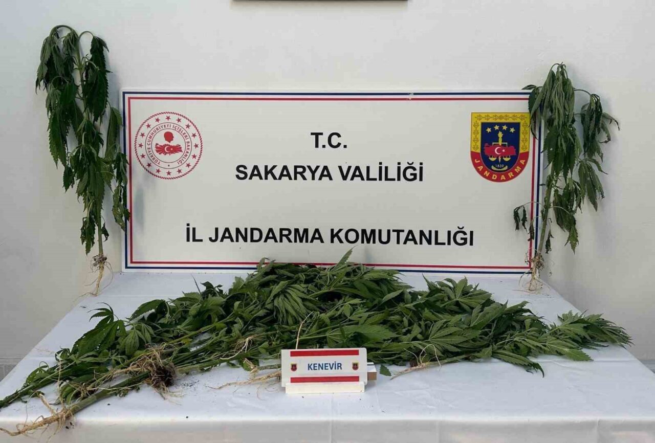 Sakarya'nın Arifiye ve Ferizli ilçelerinde gerçekleştirilen uyuşturucu operasyonunda A.A. (61),