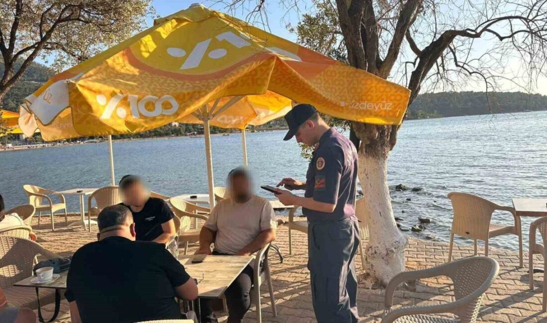 Didim’de jandarma, Akbük Mahallesi’nde şok kontrol uygulaması gerçekleştirdi. 25 personel