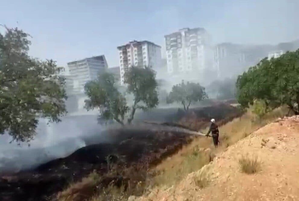 Kahramanmaraş'ın Onikişubat ilçesindeki Tekerek Mahallesi'nde bir zeytinlikte çıkan yangın, itfaiye