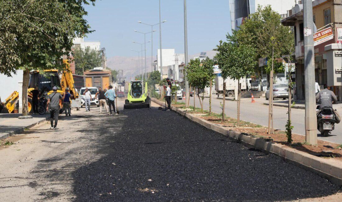 Adıyaman Belediyesi, 6 Şubat depremleri sonrası Karapınar Caddesi'nde asfalt serim