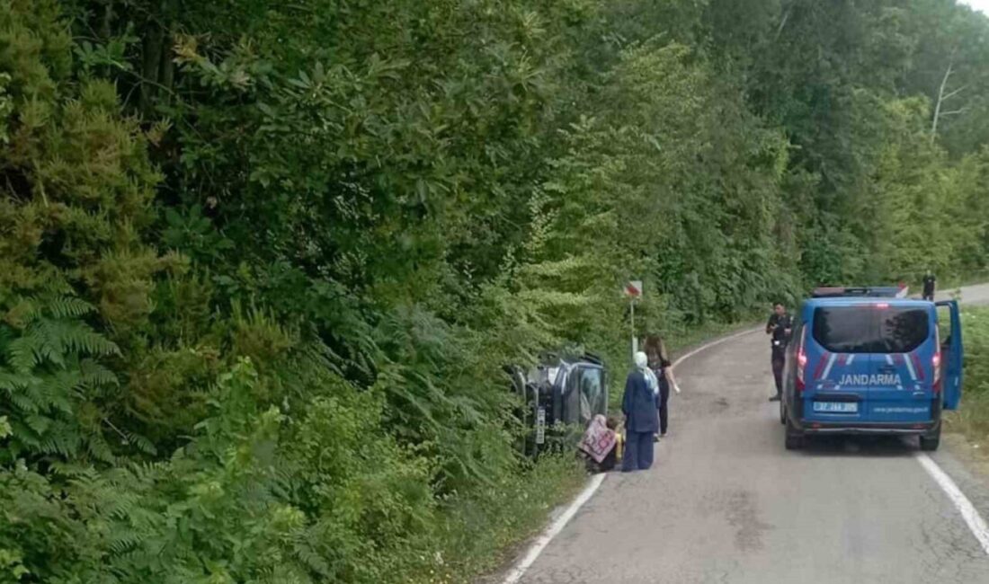 Kastamonu'nun Cide ilçesinde yoldan çıkan bir cip takla attı ve