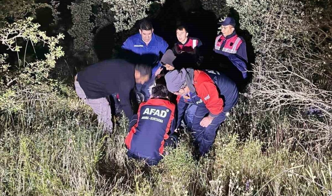 Bolu'nun Gerede ilçesindeki Demirciler köyünde 61 yaşındaki zihinsel engelli Şerife