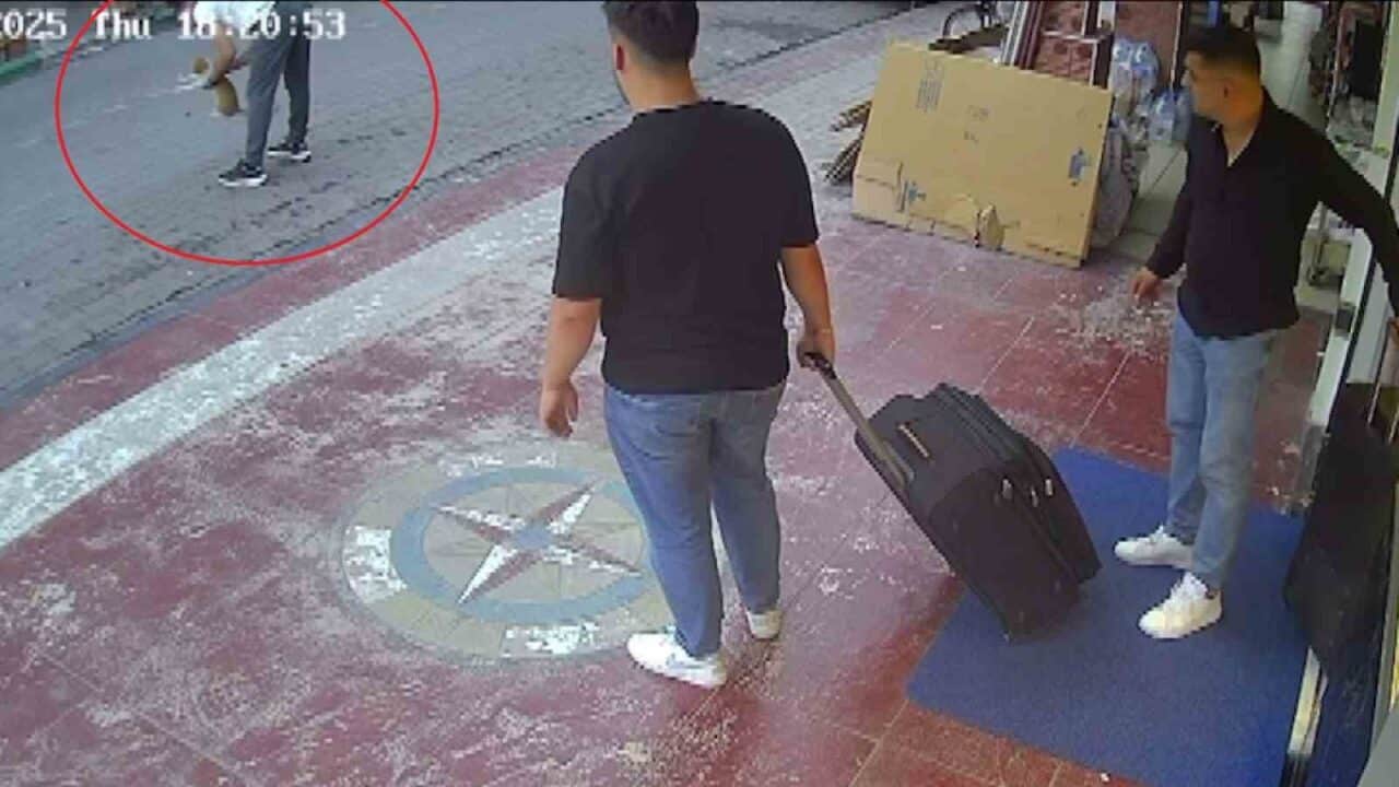 Samsun'un Çarşamba ilçesinde Selçuk Çavdar, nefes alamayan bir kediyi 'Heimlich