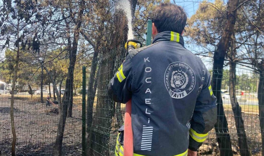 Kocaeli'nin Derince ilçesinde ağaçlık alanda çıkan yangın, 4 kişinin dumandan