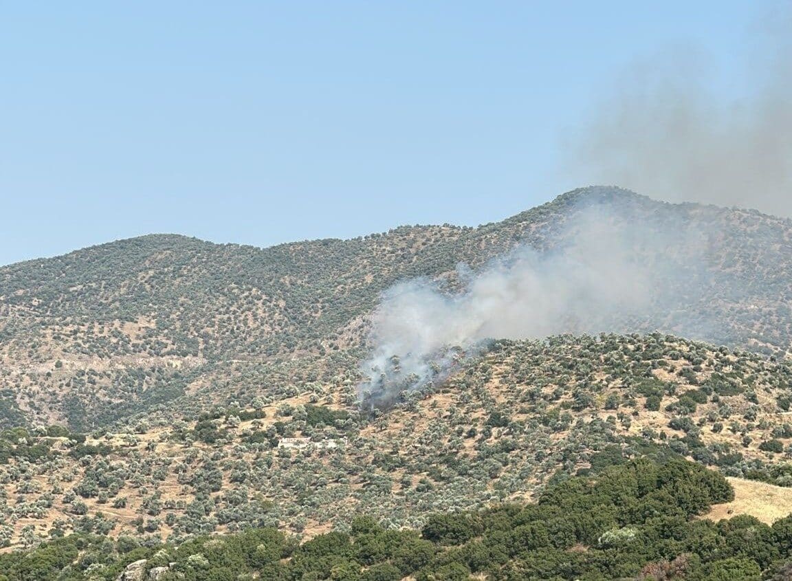 Aydın'ın Koçarlı ilçesinde, Çulhalar Mahallesi'ndeki zeytinlik alanda çıkan yangın, hızlı