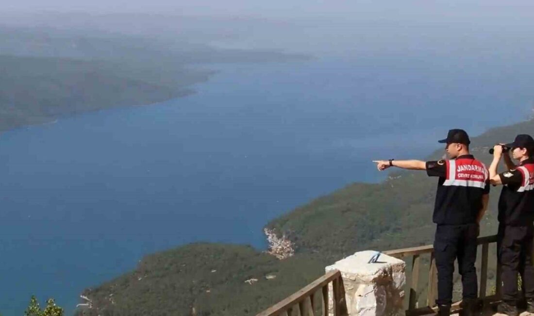 Muğla'da orman yangınlarına karşı Jandarma Komando, Polis Özel Harekât ve