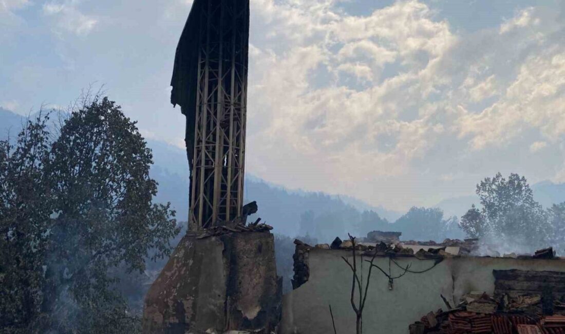 Sakarya'nın Taraklı ilçesinde başlayan orman yangını Bilecik'in Gölpazarı ilçesine sıçradı.