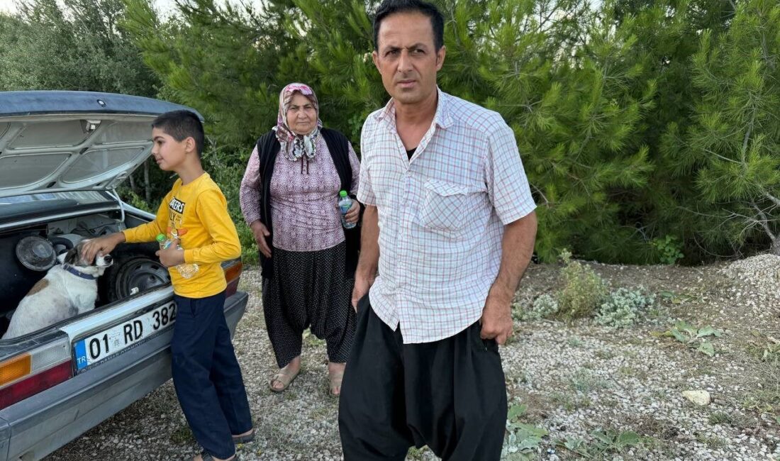 Adana'nın Kozan ilçesinde çıkan orman yangınına müdahale sürüyor. Yangın sırasında