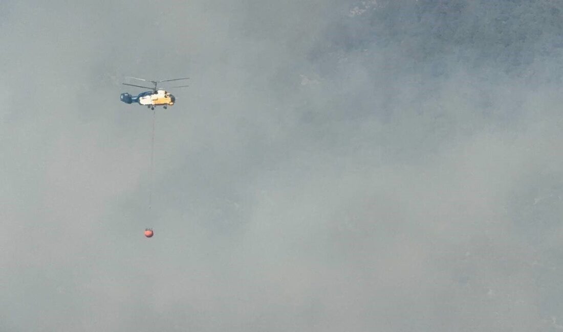 Adana'nın Kozan ilçesinde Boztahta Mahallesi'nde çıkan orman yangını nedeniyle bazı
