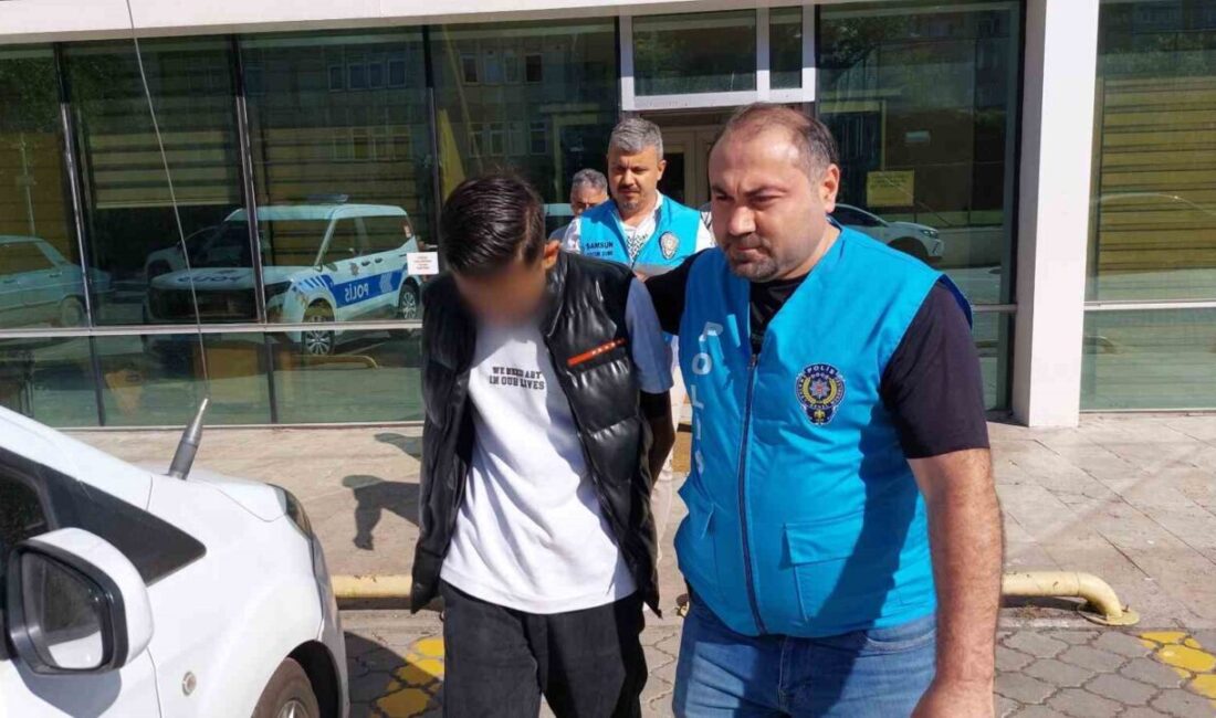 Samsun'daki Kültür Yolu Festivali'nde meydana gelen bıçaklı kavgada, 17 yaşındaki