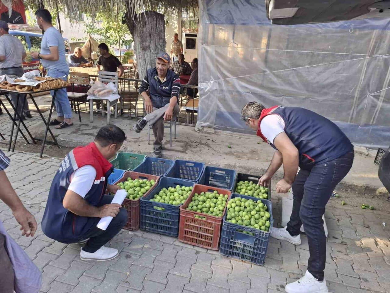 Aydın'ın Kuyucak ilçesindeki İlek Pazarı'nda, İlçe Jandarma Komutanlığı ve tarım