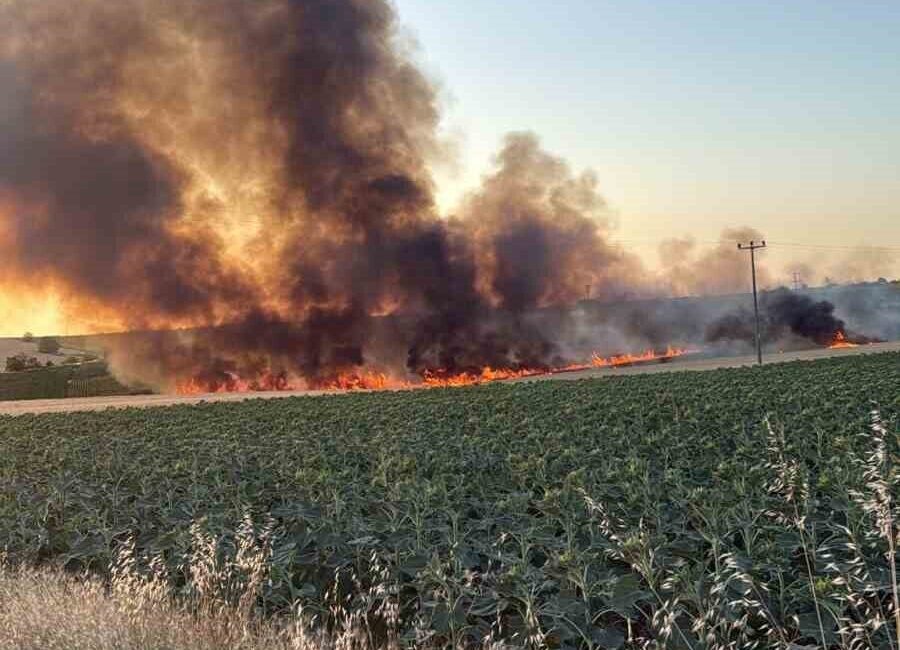 Kırklareli'nin Lüleburgaz ilçesinde bir buğday tarlasında çıkan yangında 40 dönümlük