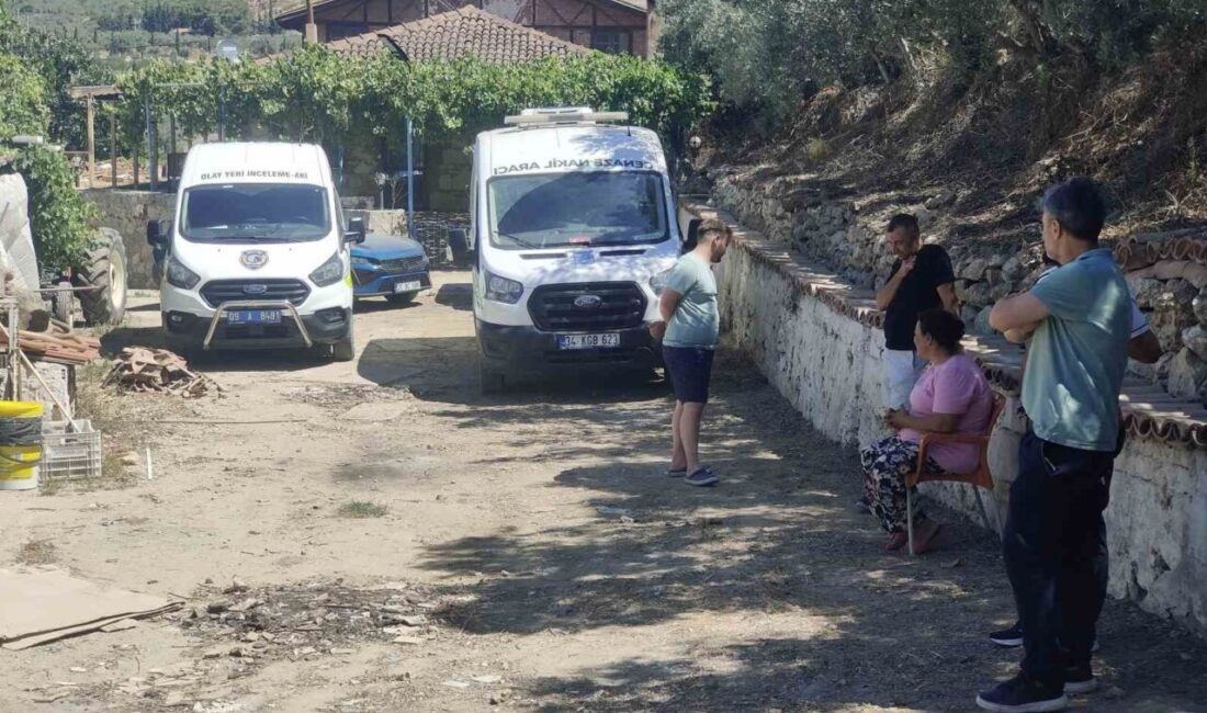Kuşadası'nda 34 yaşındaki Sabri Nazlı, mandalina bahçesinde av tüfeğiyle ölü
