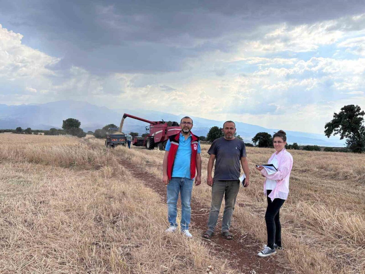 Manisa'nın Salihli ilçesindeki Tarım ve Orman Müdürlüğü, Salihli Ovası'ndaki hububat