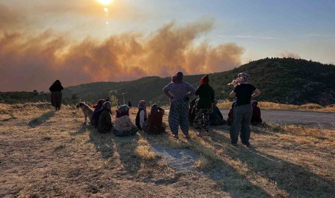 Manisa'nın Akhisar ilçesindeki orman yangınında etkili mücadele devam ediyor. Vali