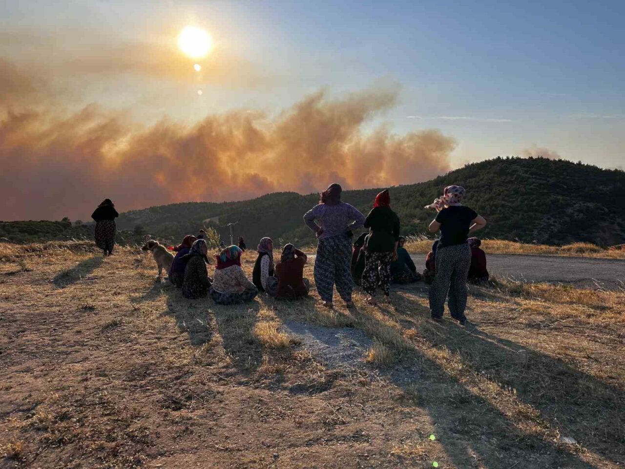 Manisa'nın Akhisar ilçesindeki orman yangınında etkili mücadele devam ediyor. Vali