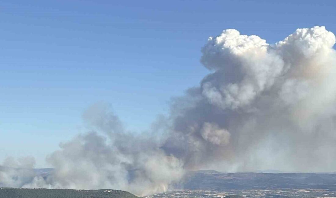 Manisa'nın Ahmetli ilçesindeki çöplükte çıkan yangın, ormana sıçradı. İzmir Orman