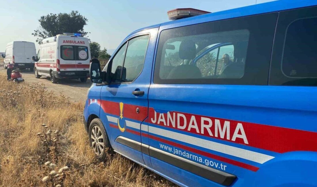 Aydın'ın Köşk ilçesinden Manisa'ya zeytinyağı satışı için giden Savaş Ok,
