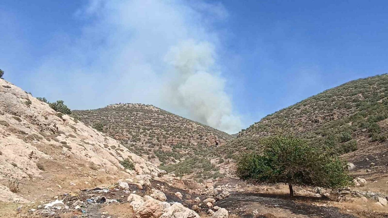 Mardin'de, Nusaybin ilçesindeki ormanlık alanda çıkan yangın için Mardin Büyükşehir
