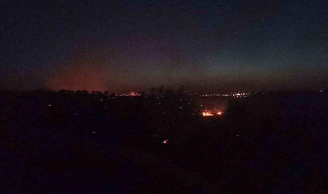 Mardin'in Nusaybin ilçesinde Akarsu ve İlkadım mahalleleri arasındaki ormanlık alanda