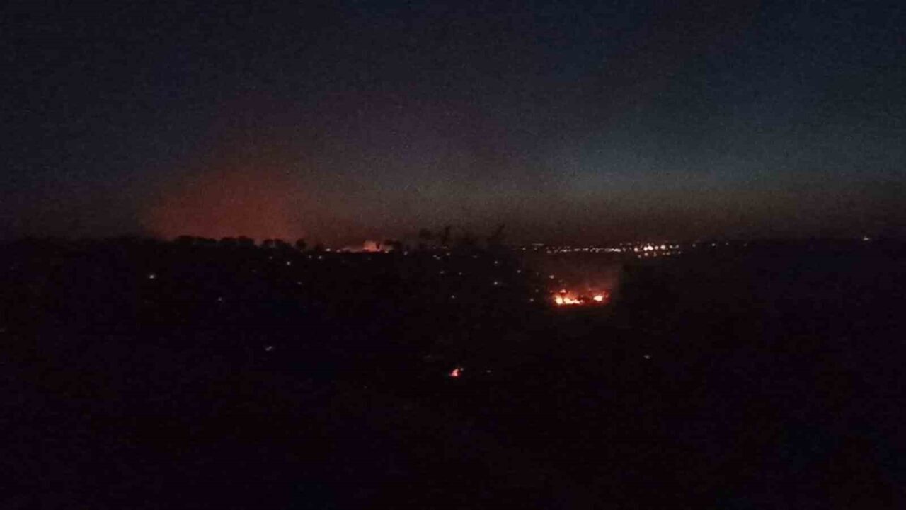 Mardin'in Nusaybin ilçesinde Akarsu ve İlkadım mahalleleri arasındaki ormanlık alanda