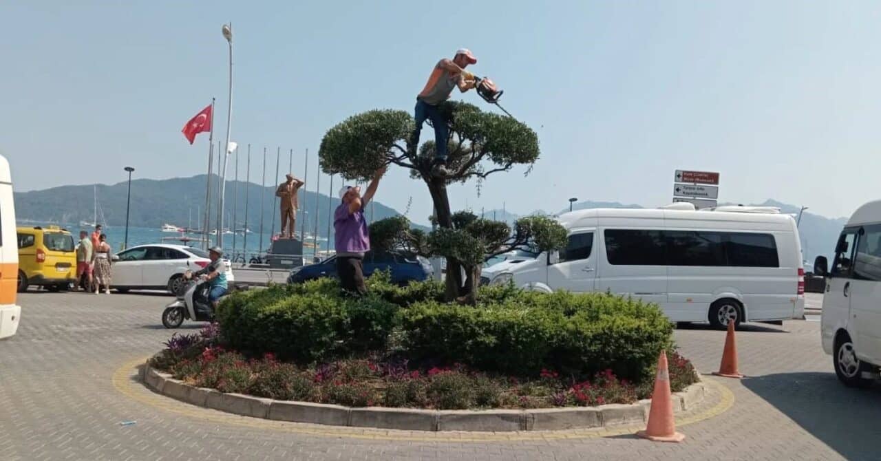 Muğla Marmaris, temizlik sorunları ve yaban domuzlarıyla mücadele ederken, peyzaj