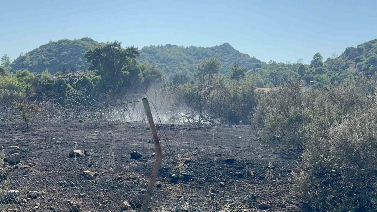 Marmaris'te Adaağzı mevkiinde çıkan yangın, ekiplerin hızlı müdahalesiyle kontrol altına