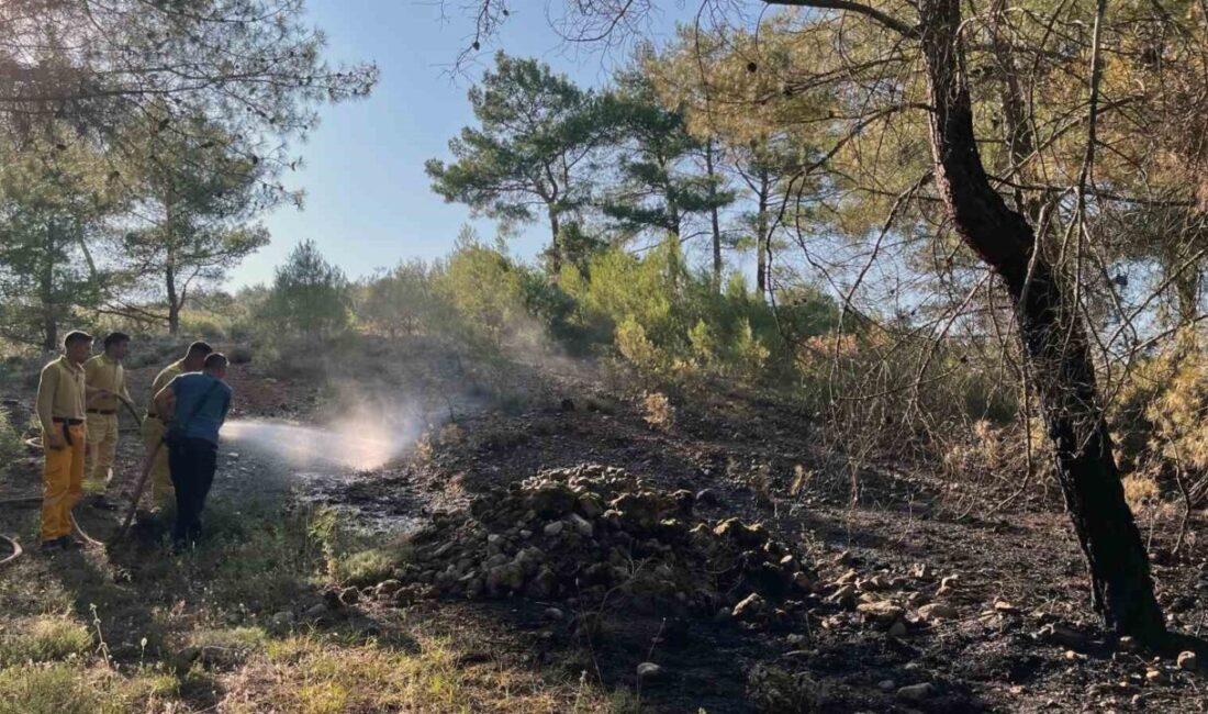 Muğla'nın Menteşe ilçesinde Akçaova Mahallesi'nde patlak veren orman yangını, Muğla