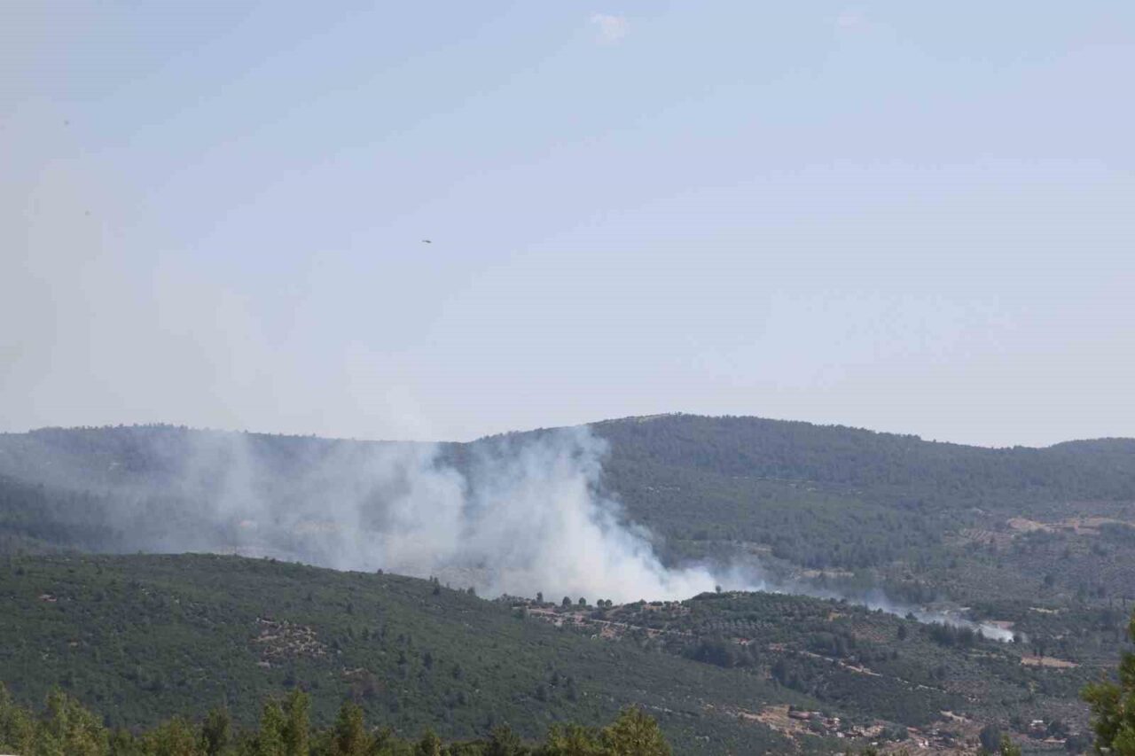 Muğla’nın Menteşe ilçesindeki Yeşilyurt Mahallesi'ndeki zeytinlik alanda çıkan yangın, itfaiye