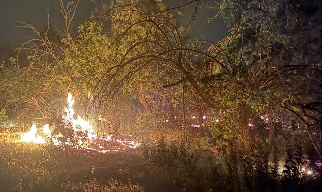 Mersin'in Erdemli ilçesinde, akşam saatlerinde kuvvetli rüzgarın etkisiyle üç ayrı