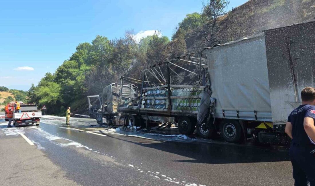 Bursa'nın Kestel ilçesinde, motor yağı yüklü Uğur T.'nin kullandığı tır