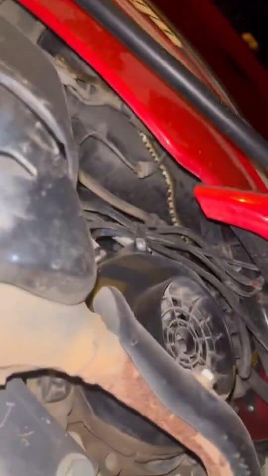 Bursa'nın İznik ilçesinde park halindeki bir motosikletin motor kısmına giren