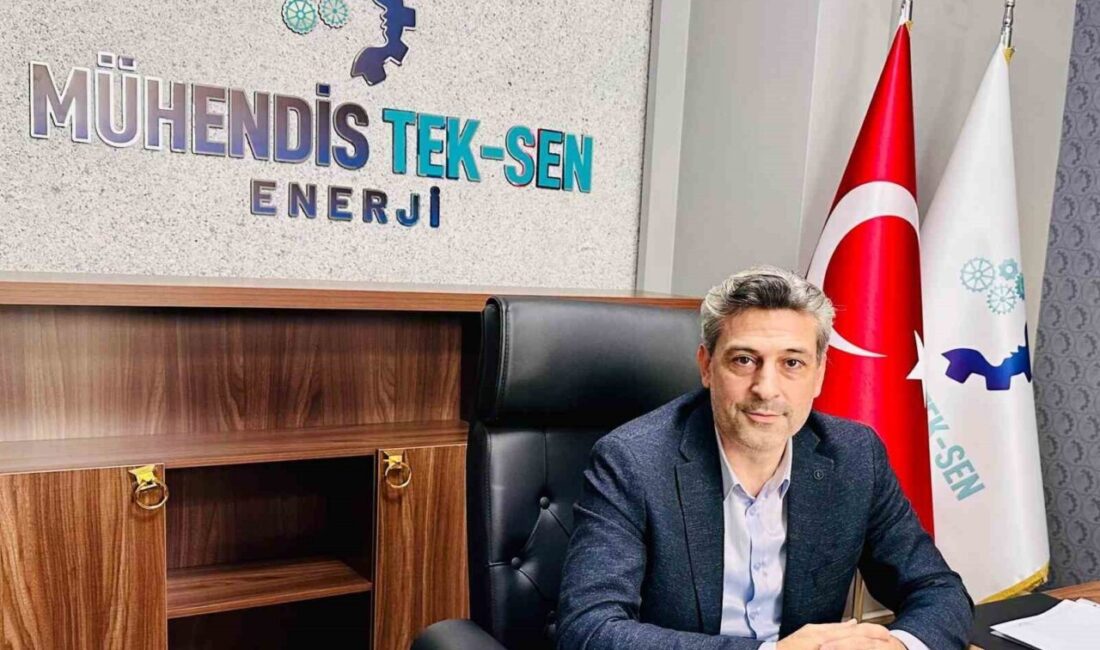 Mühendis TEK-SEN Enerji Sendikası, Türkiye Elektrik İletim Anonim Şirketi'ne karşı