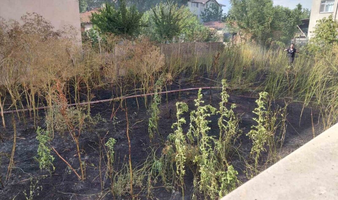 Tekirdağ'ın Muratlı ilçesinde, Kazımdirik-Turan Mahallesi Vatan Caddesi'ndeki boş bir arsada