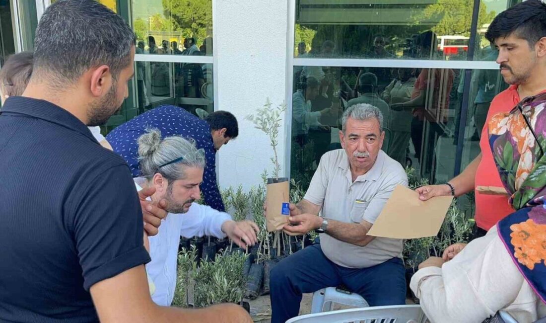 Osmaniye'de düzenlenen Geleneksel Sünnet Şöleni'nde 181 çocuk sünnet edildi. AK