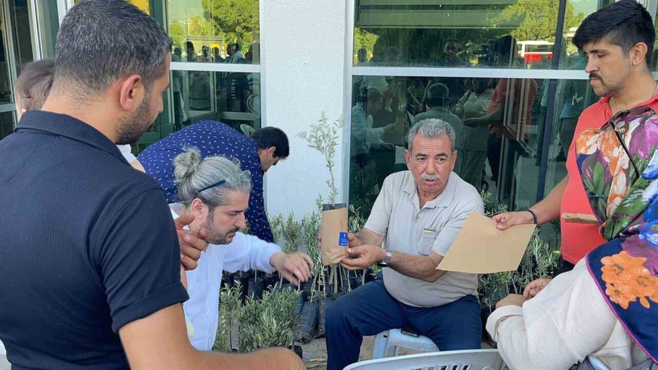 Osmaniye'de düzenlenen Geleneksel Sünnet Şöleni'nde 181 çocuk sünnet edildi. AK
