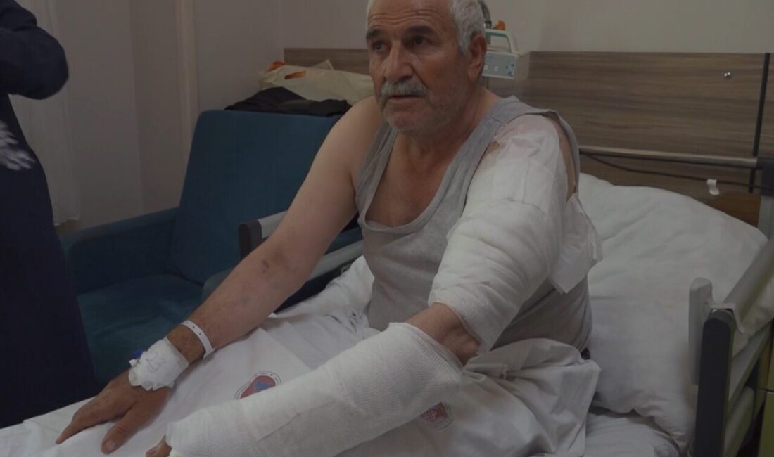 Van’ın Çatak ilçesinde ot biçen Aziz Kıyat, kurdun saldırısına uğrayarak