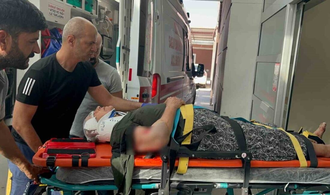 Adıyaman'da yolun karşısına geçmeye çalışan Fatma Ö., 06 BOR 528